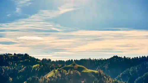 небо, лес, деревья, горы, холмы, голубые, зелёные