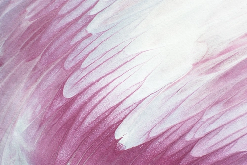 розовые, белые, абстракция, волны, текстура