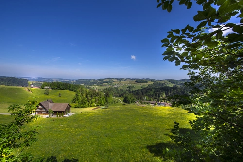 поле, дом, лес, деревья, швейцария, зеленые, синие