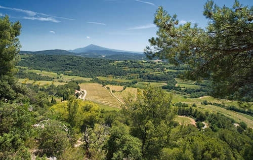 поле, холмы, франция, природа, коричневые, голубые, зеленые