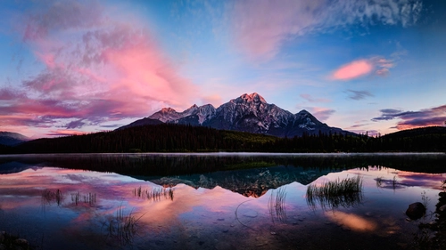 гора, лес, отражение, туман, зеленые, розовые, синие