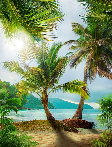 пляж, берег, песок, пальма, пальмы, море, океан, вода, горизонт, голубые, бежевые, зеленые