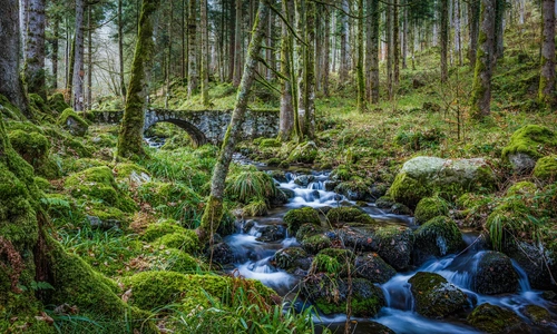 река, лес, природа, франция, деревья, коричневые, зеленые