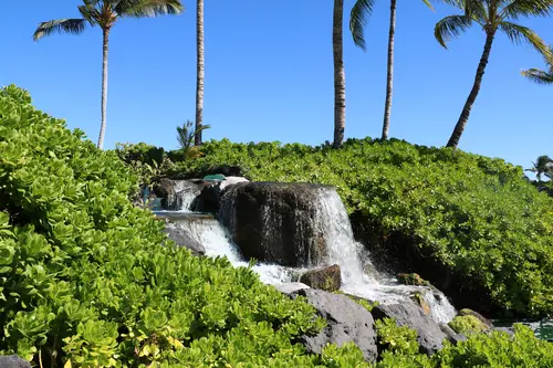 водопад, зелень, пальмы, небо, листья, природа, голубые, зеленые