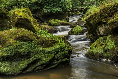 природа, лес, ручей, камни, мох, трава, зелёные, коричневые