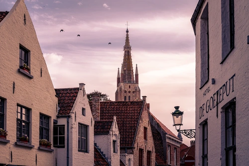 церковь, улица, дом, дома, город, крыши, птицы, розовые, бежевые, сиреневые, коричневые