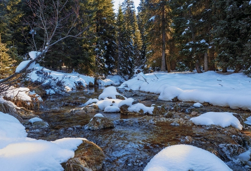 ручей, камни, лес, природа, снег, черные, темные, серые