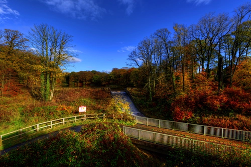 река, мост, англия, природа, коричневые, синие, зеленые