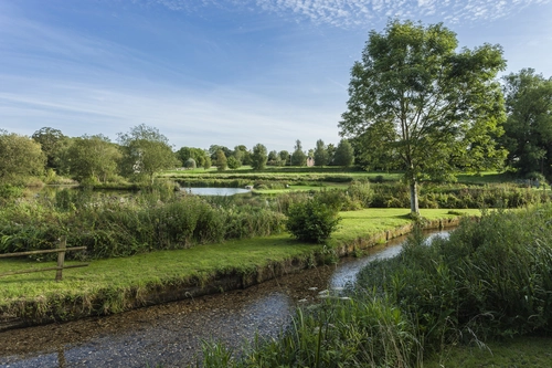 дерево, река, природа, англия, зеленые