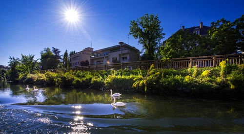 дом, франция, природа, зеленые, серые, синие