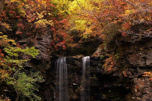 лес, река, водопад, скалы, черные, желтые, япония 