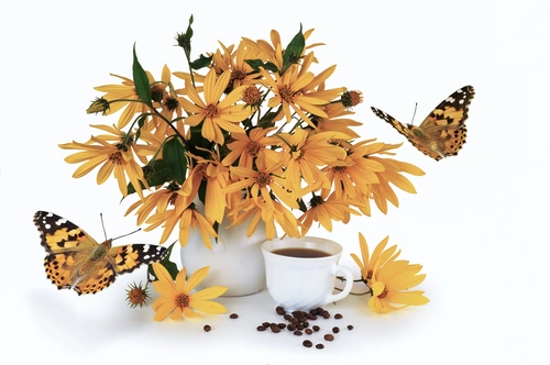 цветы, чай, бабочка, белые, желтые, оранжевые