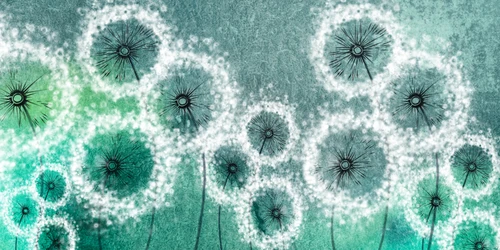 одуванчики, рисунок, зелёные, белые