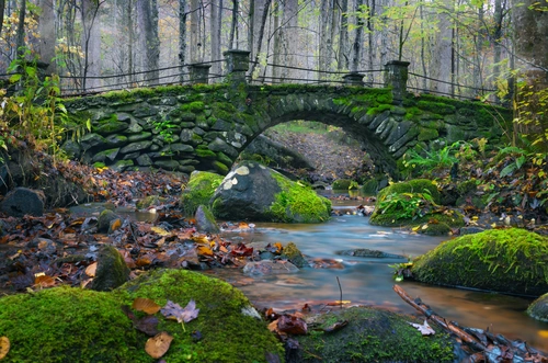 природа, лес, деревья, камни, листья, ручей, мостик, серые, зелёные