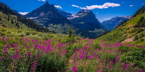 горы, поле, небо, природа, панорама, синие, зеленые