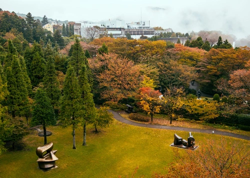 парк, япония, природа, город, желтые, зеленые