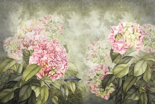 сад, растения, цветы, листья, зелёные, розовые