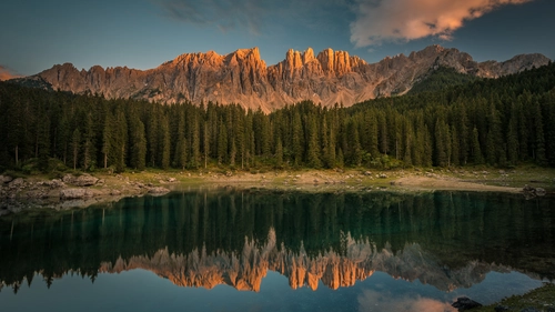 лес, природа, горы, коричневые, зеленые, синие