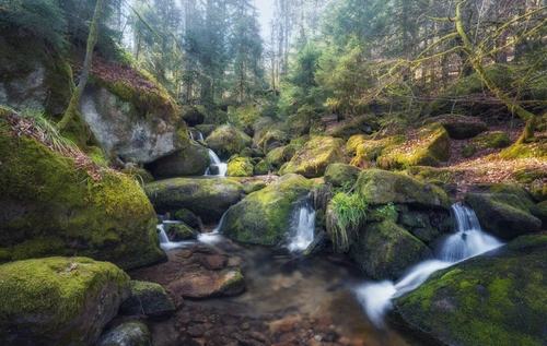 ручей, природа, лес, камни, водопад, коричневые, зеленые