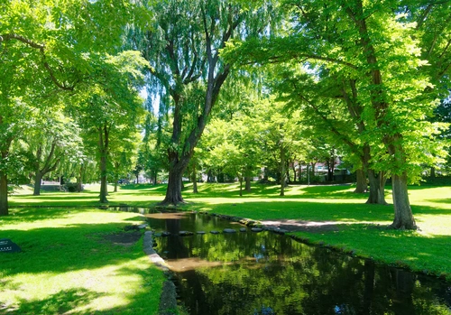 река, парк, природа, лес, зеленые, япония, коричневые