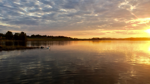 туман, вода, озеро, желтые, темные