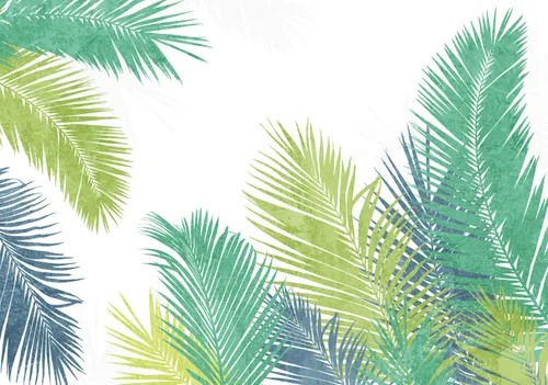 Тропики, Папоротник, Кустарник, Листья