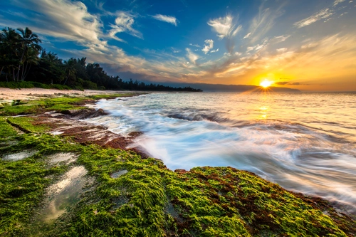 берег, камни, океан, закат, волны, зеленые, белые, желтые