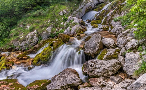 ручей, камни, трава, деревья, склон, зелёные, серые