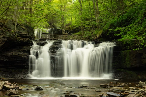 лес, деревья, водопад, водоём, камни, белые, зелёные, коричневые