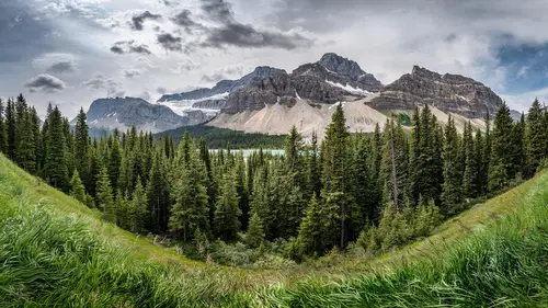 небо, горы, лес, деревья, ели, трава, зелёные, серые