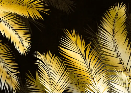 Тропики, Папоротник, Кустарник, Листья