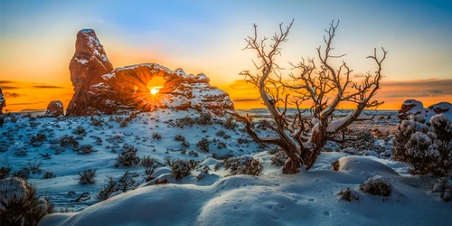 дерево, солнце, свет, камни, коричневые, желтые, белые