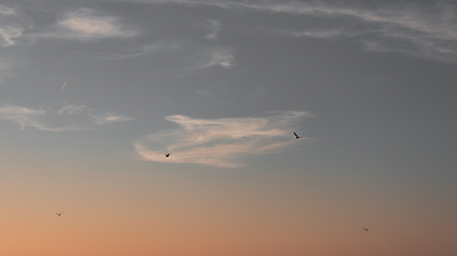 облака, небо, серые, оранжевые, фотография