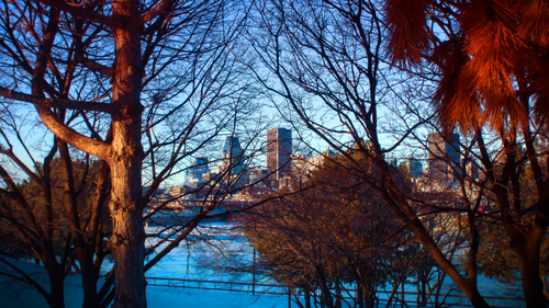 город, парк, деревья, здания, природа, оранжевые, серые, синие