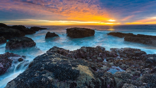 камни, вода, берег, море, синие, оранжевые