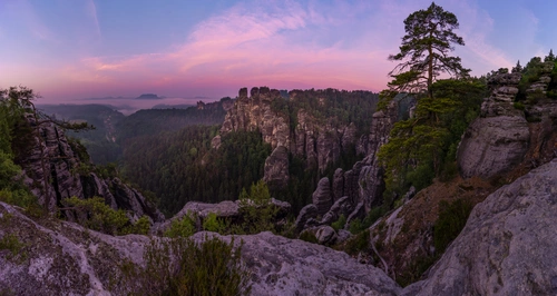 небо, горы, деревья, лес, камни, голубые, зелёные, коричневые