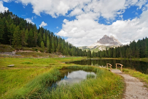 озеро, лес, деревья, италия, природа, горы, синие, белые, зеленые