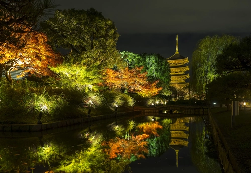 деревья, лес, ночь, отражение, природа, дом, зеленые, коричневые, желтые