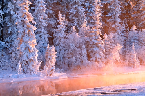ручей, зима, снег, белые, розовые, желтые, природа