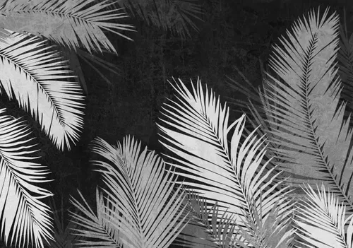 Тропики, Папоротник, Кустарник, Листья