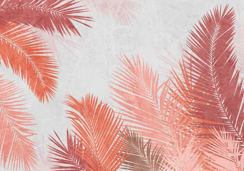 Тропики, Папоротник, Кустарник, Листья