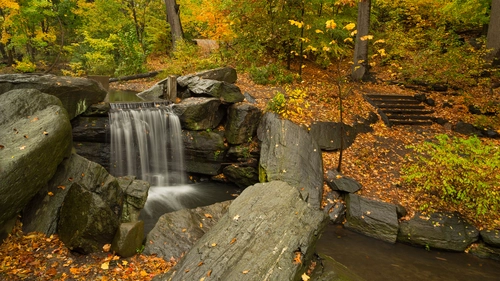 камни, водопад, деревья, лес, коричневые