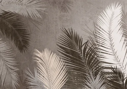 Тропики, Папоротник, Кустарник, Листья