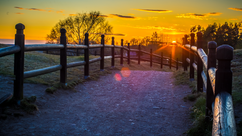 забор, вечер, закат, желтые, оранжевые