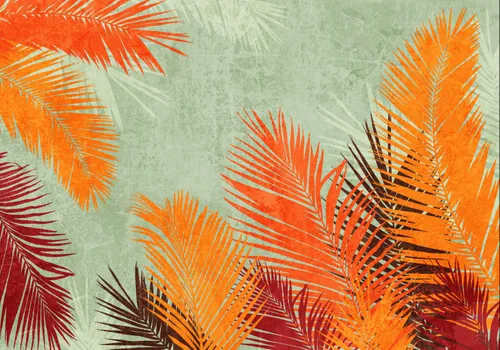 Тропики, Папоротник, Кустарник, Листья