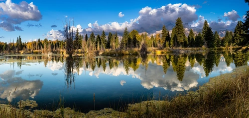 лес, природа, озеро, отражение, панорама, желтые, зеленые, синие