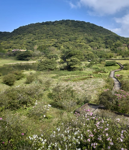 холм, поле, природа, китай, зеленые, черные, синие