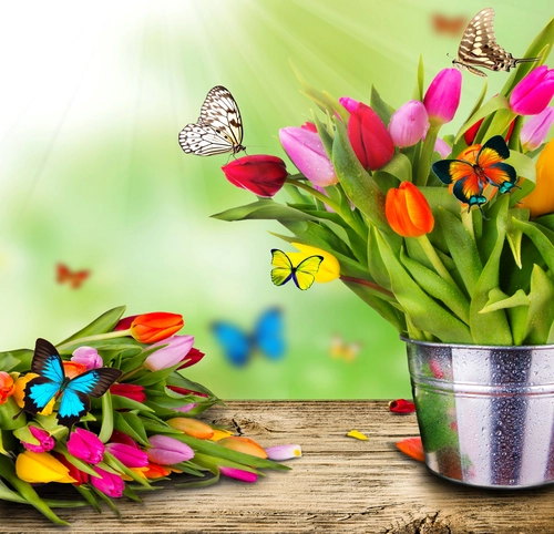 тюльпаны, бабочки, желтые, красные, синие, зеленые