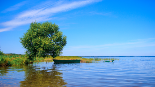 озеро, лодка, дерево, природа, зеленые, синие