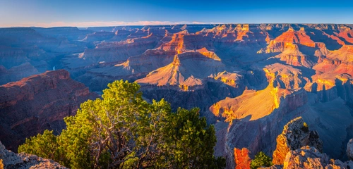 холмы, каньон, скалы, коричневые, желтые, зеленые, панорама